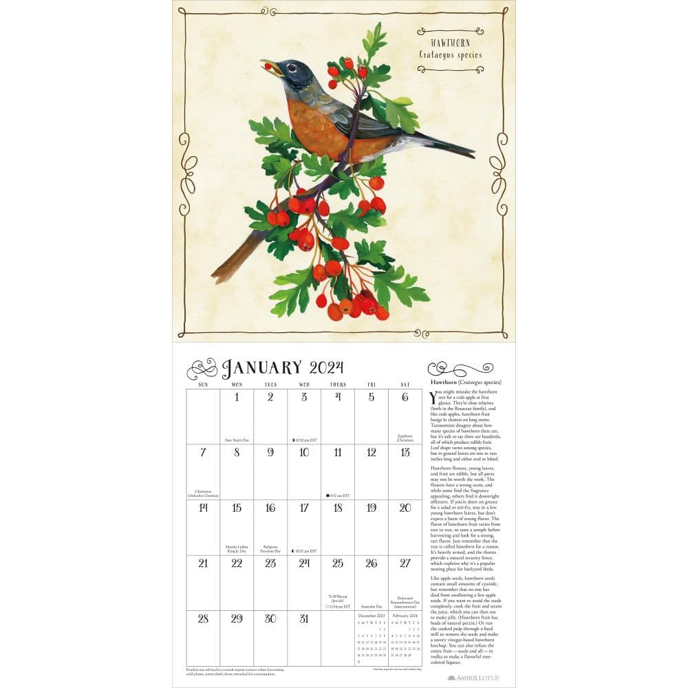 Backyard Foraging 2024 Wall Calendar interior 2