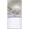 image Natures Wonders 2026 Wall Calendar Third Alternate Image