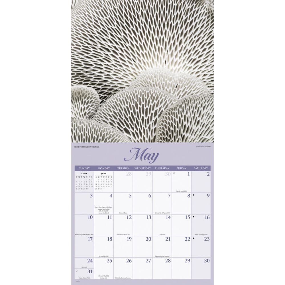 Natures Wonders 2026 Wall Calendar Third Alternate Image