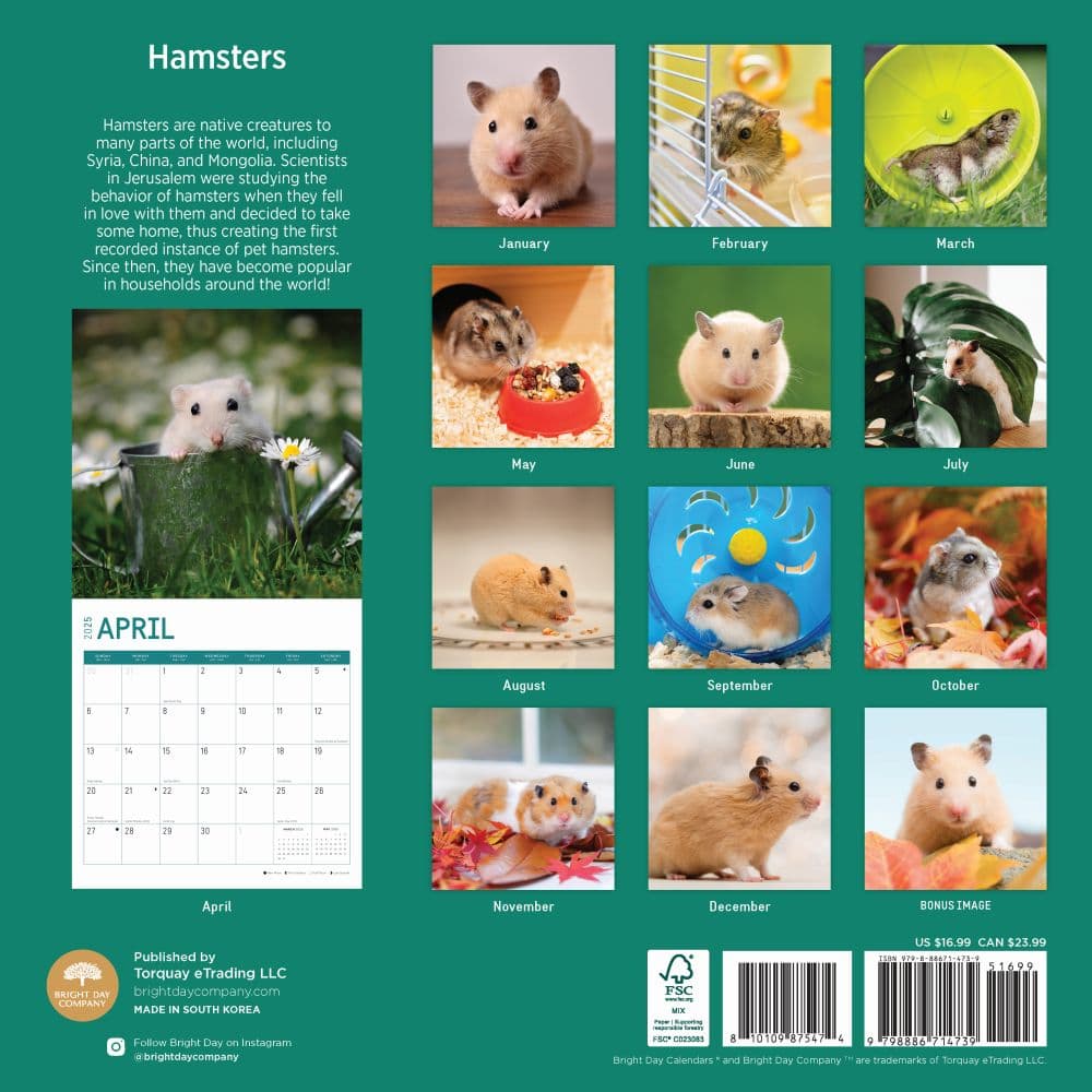 Hamsters 2025 Wall Calendar First Alternate Image