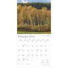 image Massachusetts Wild and Scenic 2025 Wall Calendar Third Alternate Image width=&quot;1000&quot; height=&quot;1000&quot;