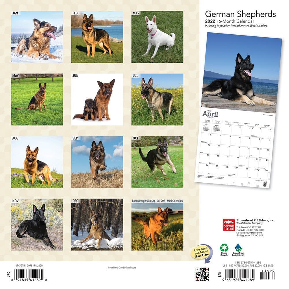 Details about   German Shepherds 2021 Wall Calendar Includes 2020 & 2022 4-Month Calendars 