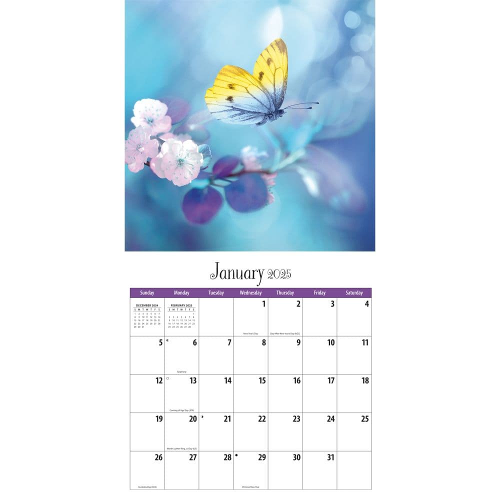 Butterflies Special Value 2025 Wall Calendar