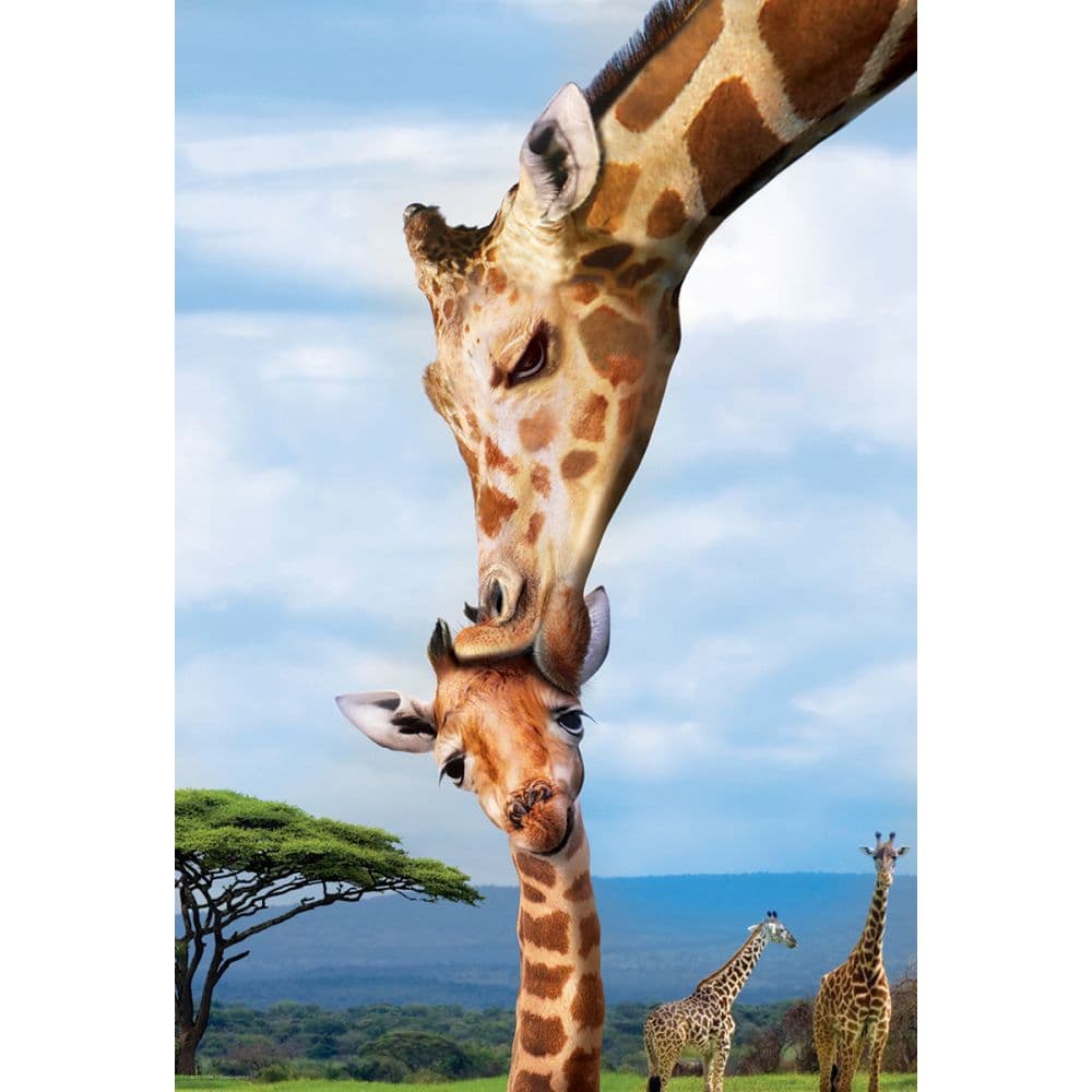 Giraffe 250pc Puzzle Alternate Image 1