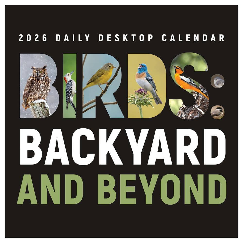 Birds Backyard And Beyond 2026 Desk Calendar Fourth Alternate Image