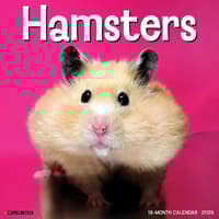 image Hamsters 2026 Wall Calendar  Main Image