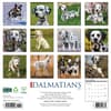 image Just Dalmatians 2026 Wall Calendar