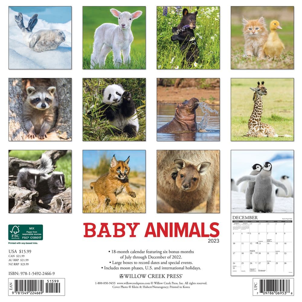 Young Animals 2023 Calendar - Calendars.com