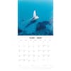 image Sailing 2027 Wall Calendar Second Alternate Image
