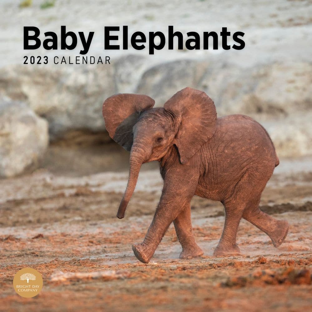 Bright Day Calendars Baby Elephants 2023 Wall Calendar