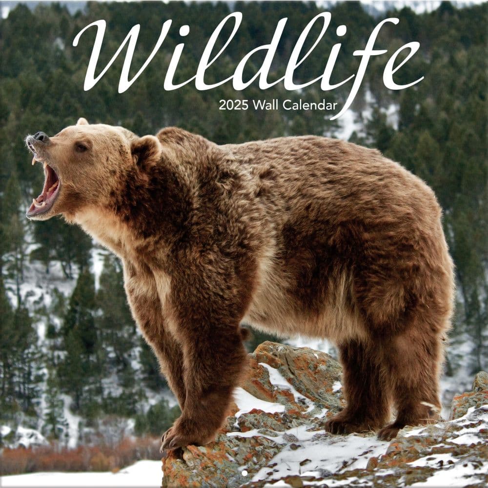 image Wildlife 2025 Wall Calendar_Main Image