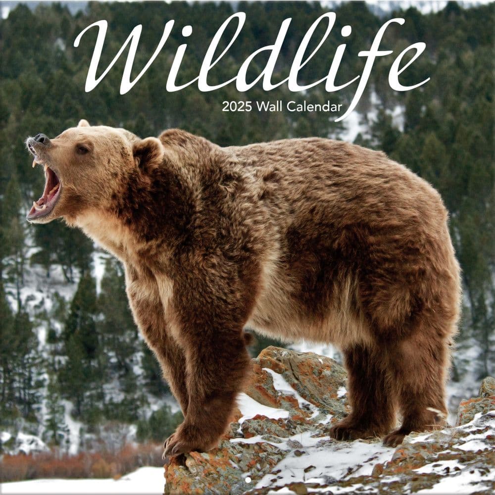 Wildlife 2025 Wall Calendar_Main Image