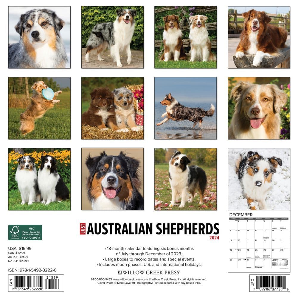 Just Australian Shepherds 2024 Wall Calendar