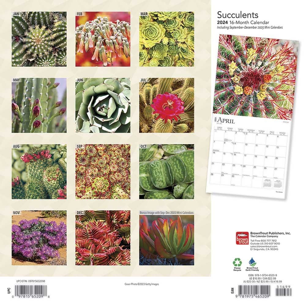 Succulents 2024 Wall Calendar First Alternate Image width=&quot;1000&quot; height=&quot;1000&quot;