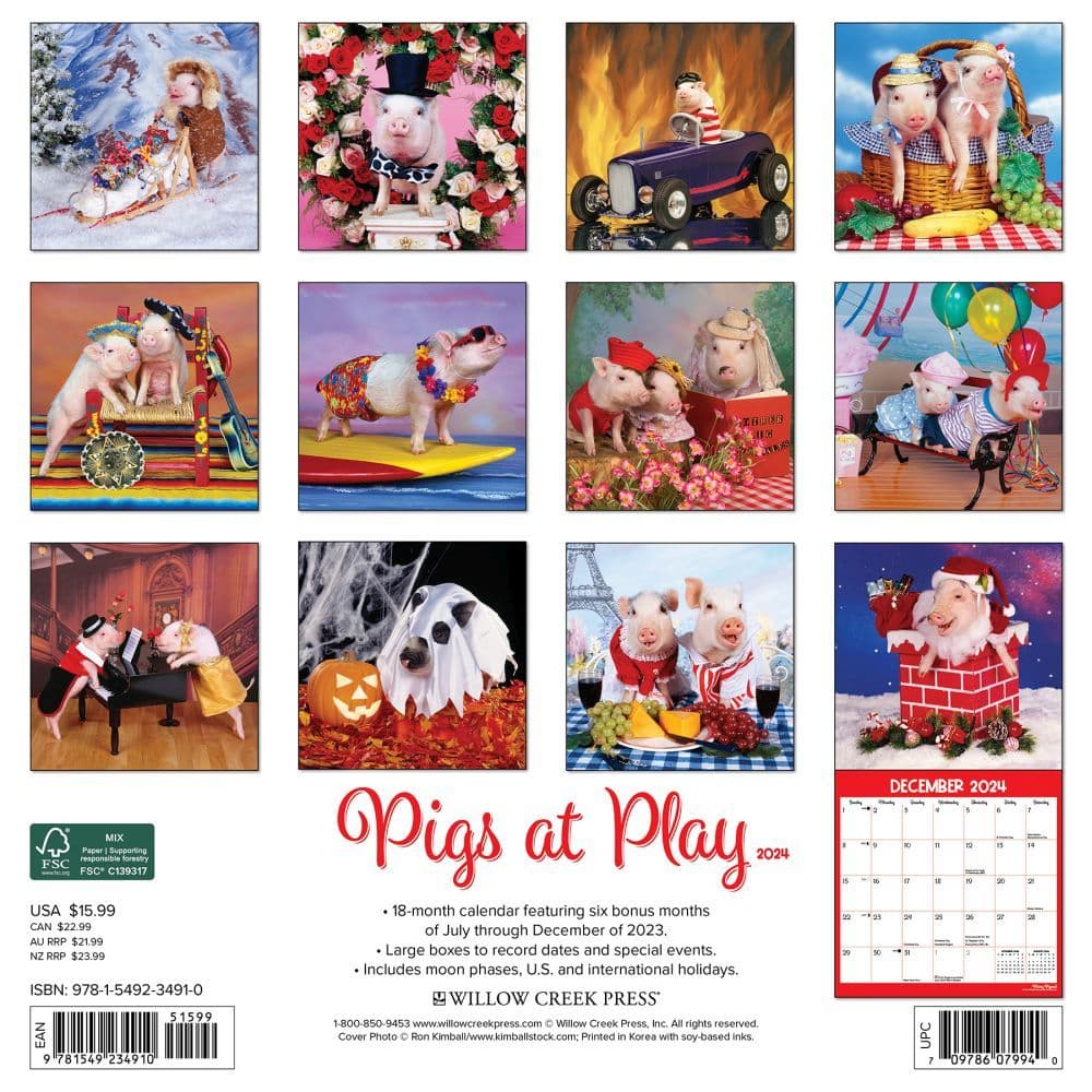 Pigs At Play 2024 Wall Calendar