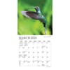 image Hummingbirds 2024 Mini Wall Calendar Second Alternate Image width=&quot;1000&quot; height=&quot;1000&quot;