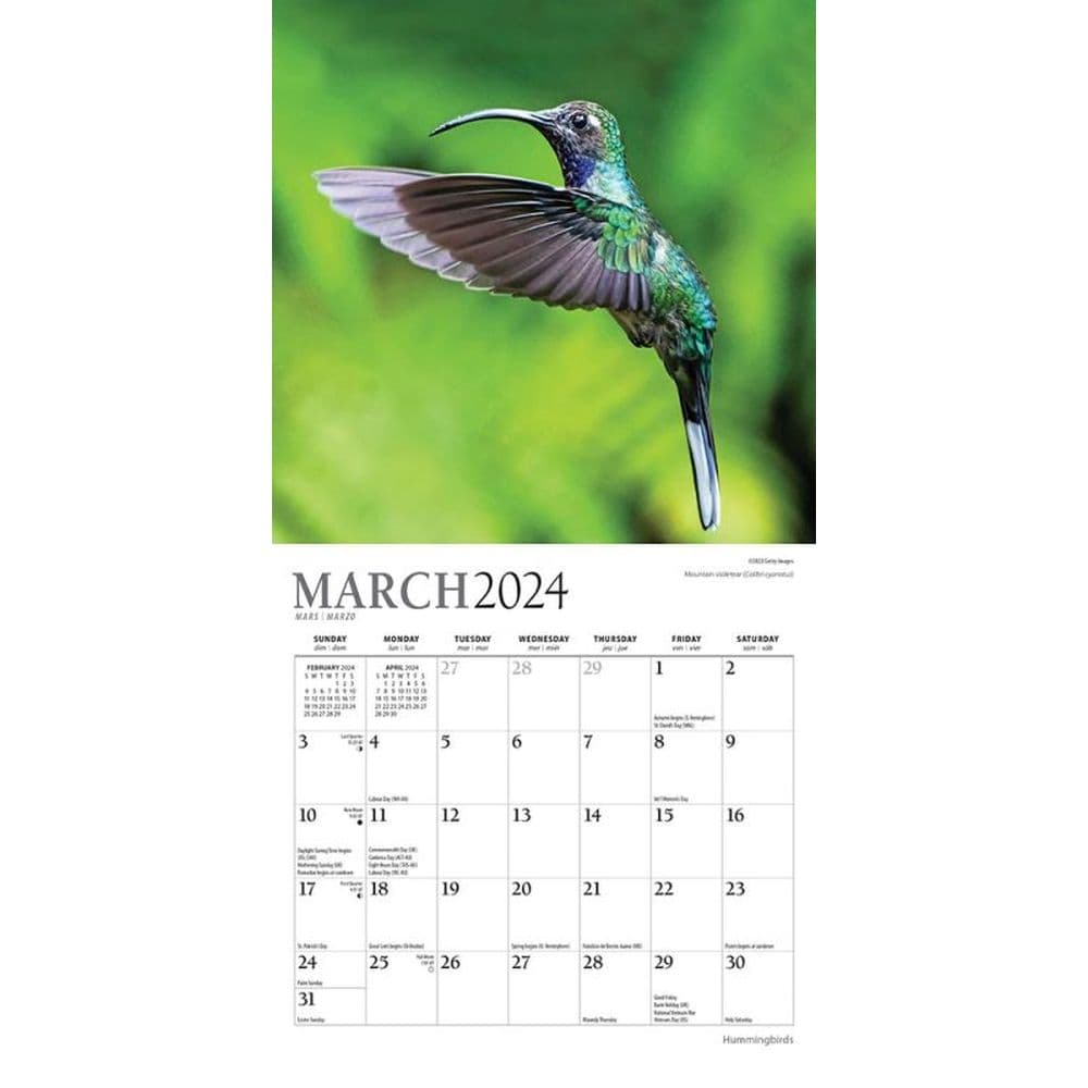 Hummingbirds 2024 Mini Wall Calendar Second Alternate Image width=&quot;1000&quot; height=&quot;1000&quot;