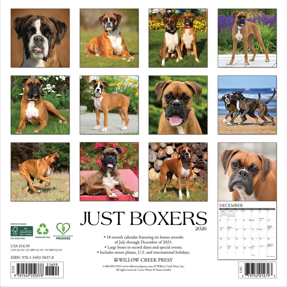 Just Boxers 2026 Wall Calendar First Alternate Image