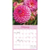 image Flowers Special Value 2026 Mini Wall Calendar Second Alternate Image