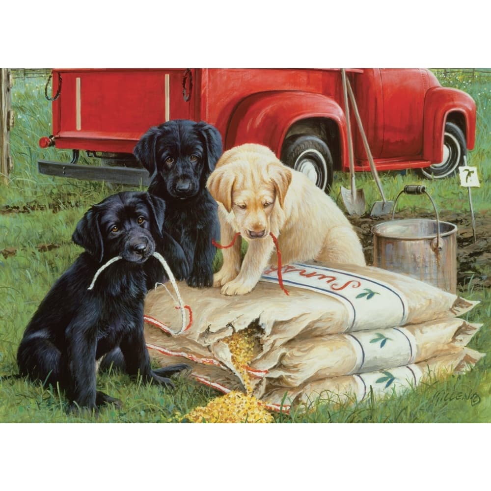 Just Dogs 1000 Piece Puzzle