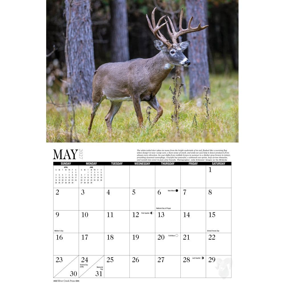 Trophy Antlers and Horns 2027 Wall Calendar Second Alternate Image