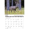 image Trophy Antlers and Horns 2027 Wall Calendar Second Alternate Image