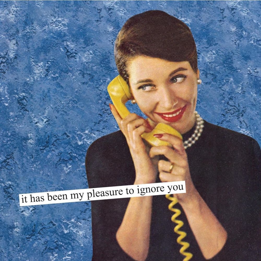 Anne Taintor 2027 Wall Calendar Sixth Alternate Image