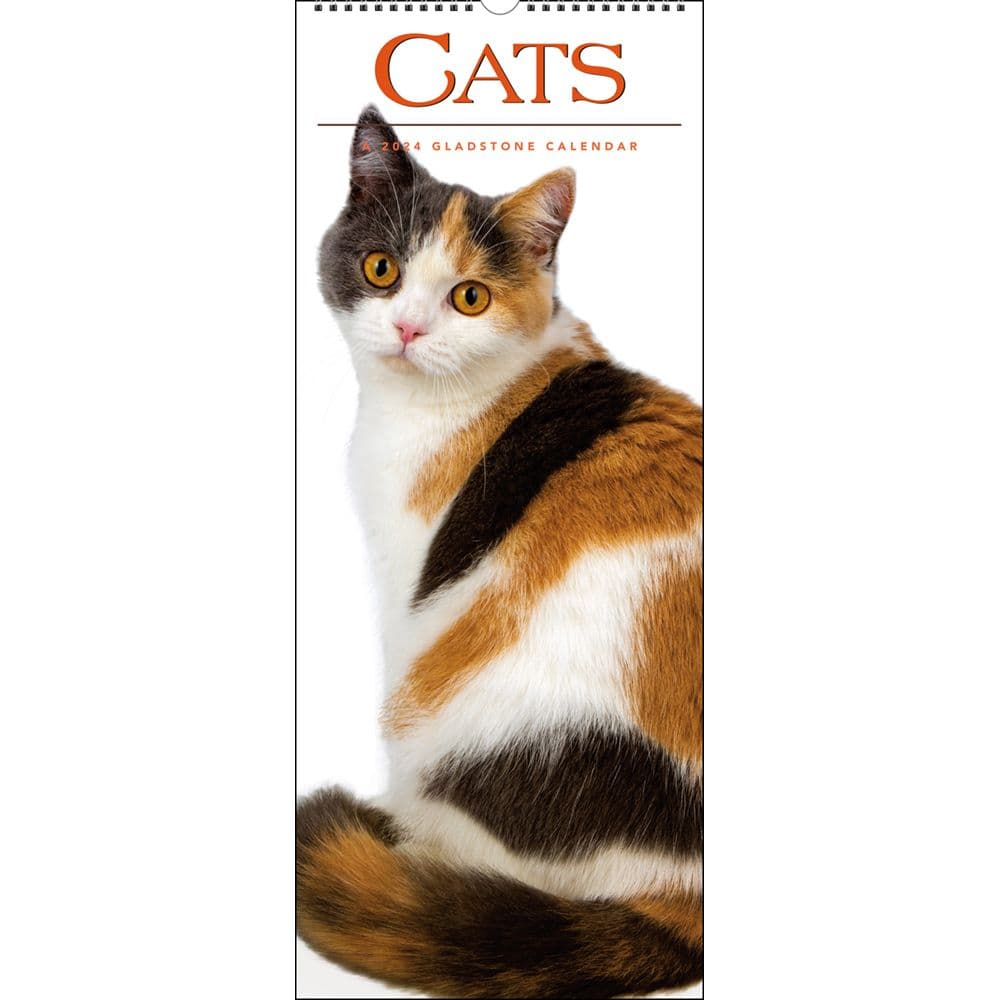 Cats Vertical 2024 Wall Calendar Main Product Image width=&quot;1000&quot; height=&quot;1000&quot;