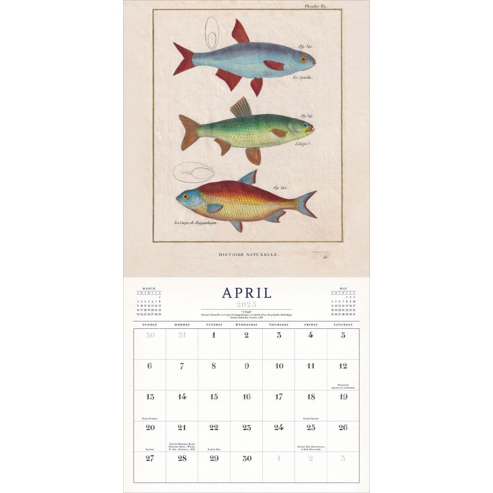 World of John Derian 2025 Wall Calendar First Alternate Image width="1000" height="1000"