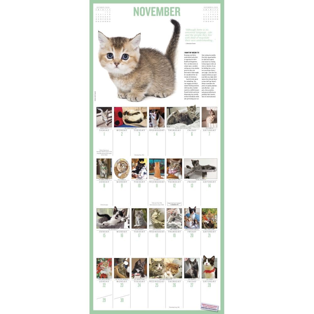 Kittens 365 Days 2026 Wall Calendar Third Alternate Image