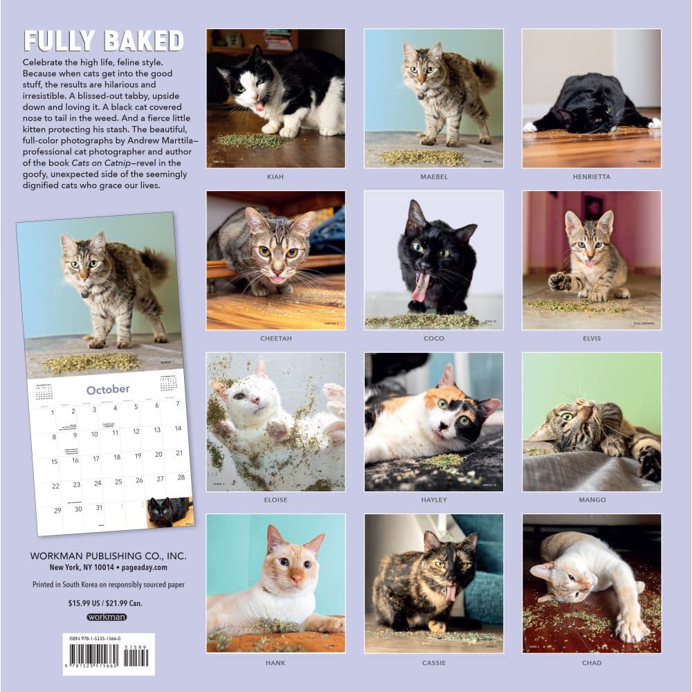 Cats on Catnip 2023 Wall Calendar - Calendars.com