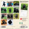 image Black Lab Puppies 2027 Mini Wall Calendar First Alternate Image