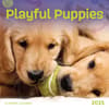 image Playful Puppies 2025 Mini Wall Calendar Main Image