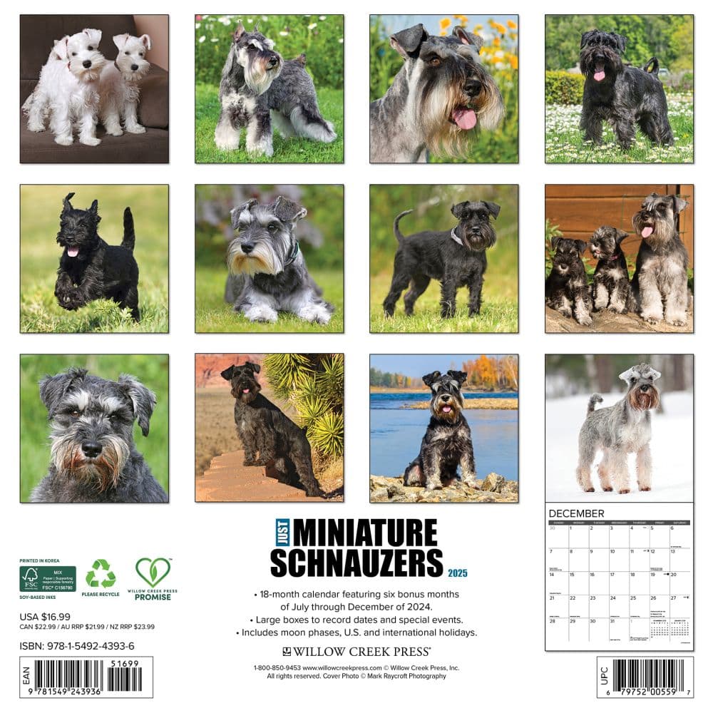 Just Miniature Schnauzers 2025 Wall Calendar First Alternate Image width=&quot;1000&quot; height=&quot;1000&quot;