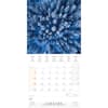 image Deep Forest 2025 Wall Calendar Second Alternate Image width=&quot;1000&quot; height=&quot;1000&quot;