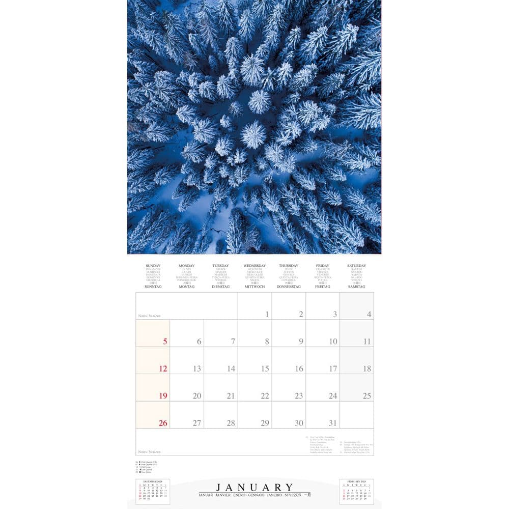 Deep Forest 2025 Wall Calendar Second Alternate Image width=&quot;1000&quot; height=&quot;1000&quot;