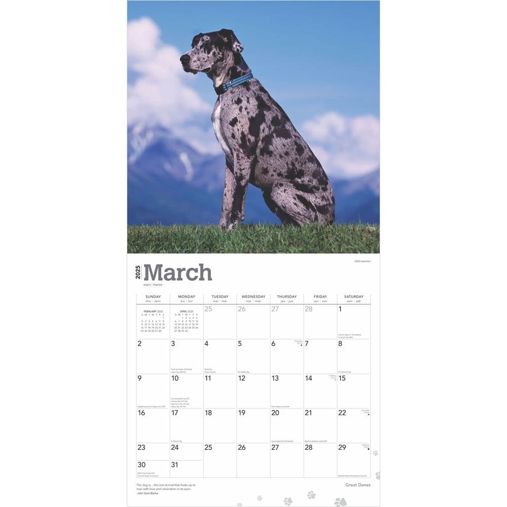 Great Danes 2025 Wall Calendar Second Alternate Image width=&quot;1000&quot; height=&quot;1000&quot;