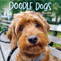 image Doodle Dogs Photo 2026 Wall Calendar