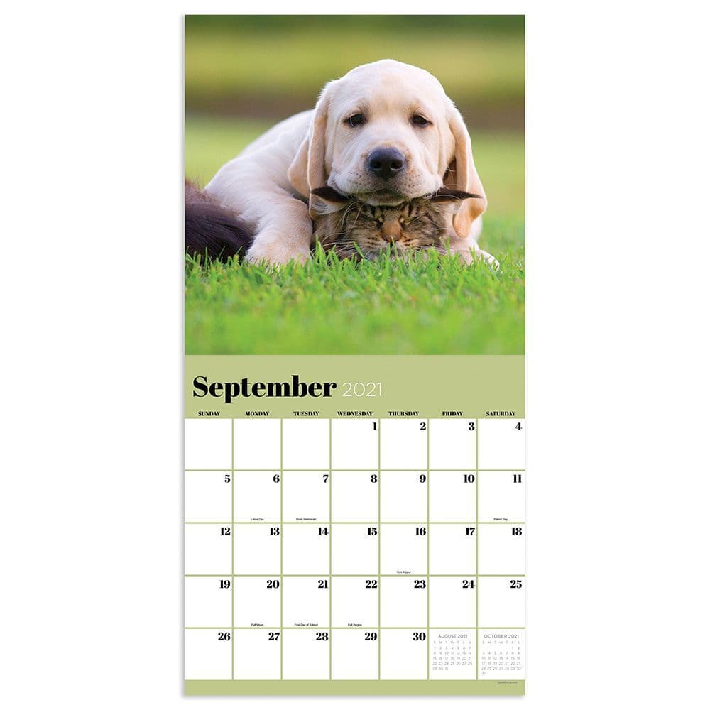 Furry Friends Wall Calendar Calendars com