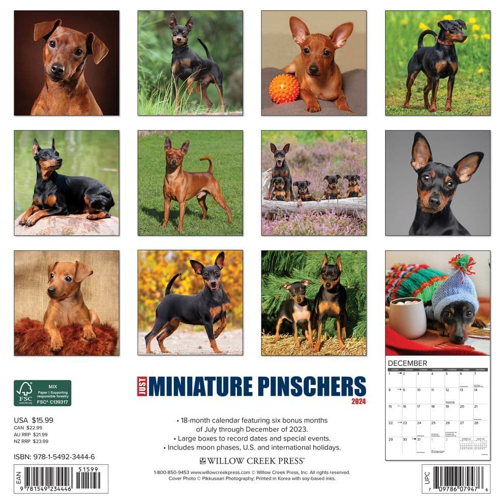 Just Miniature Pinschers 2024 Wall Calendar