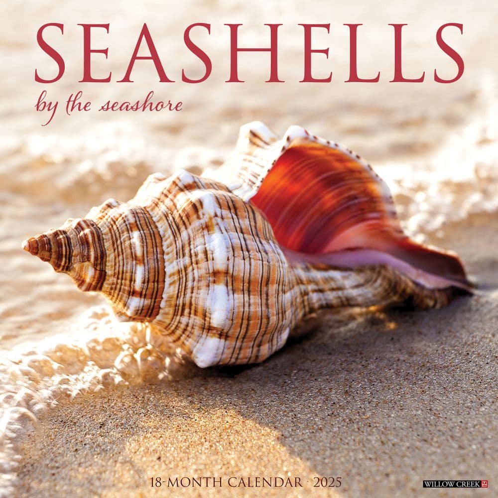 Seashells 2025 Wall Calendar Main Image