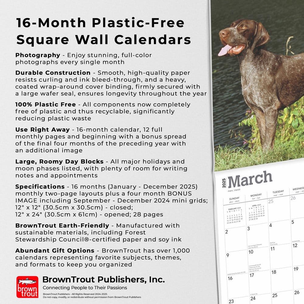 German Shorthaired Pointers 2025 Wall Calendar Fifth Alternate Image width=&quot;1000&quot; height=&quot;1000&quot;