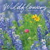 image Wildflowers 2025 Wall Calendar  Main Image