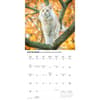 image Maine Coon Cats 2026 Wall Calendar Fourth Alternate Image