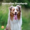 image Australian Shepherds 2025 Wall Calendar  Main Image