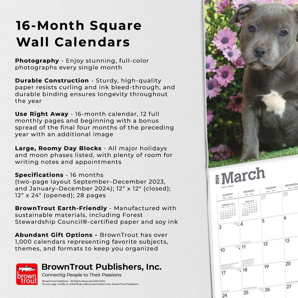 Staffordshire Bull Terrier Puppies 2024 Wall Calendar Fourth Alternate Image width=&quot;1000&quot; height=&quot;1000&quot;