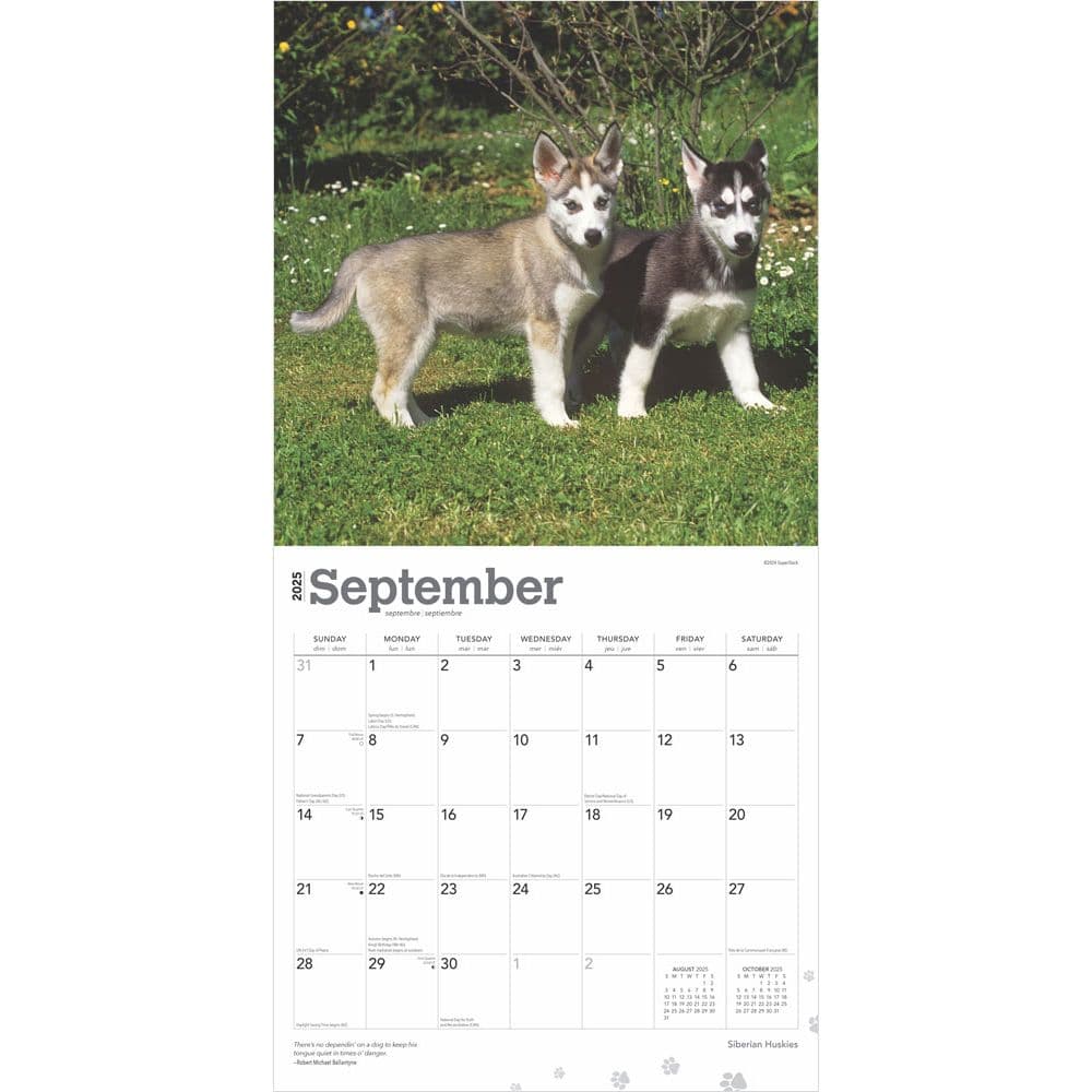 Siberian Huskies 2025 Wall Calendar Third Alternate Image width=&quot;1000&quot; height=&quot;1000&quot;