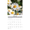 image Wildflowers 2025 Wall Calendar