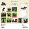 image Schnauzer Puppies 2025 Wall Calendar First Alternate Image