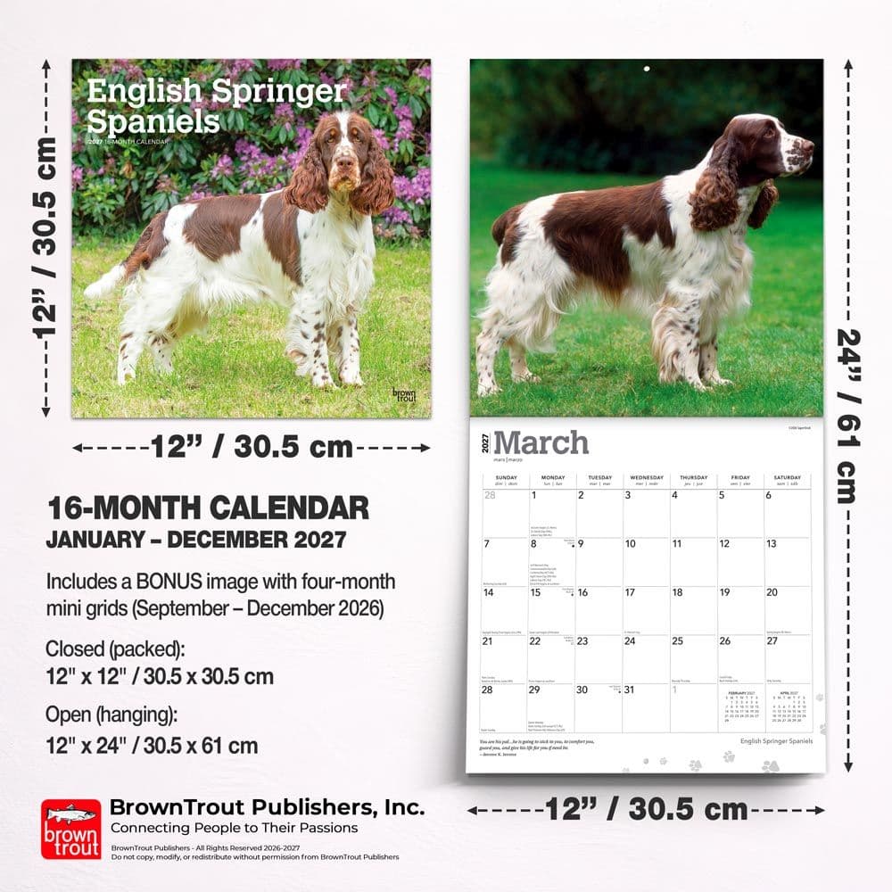 English Springer Spaniels 2027 Wall Calendar Seventh  Alternate Image